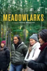 Nonton Film Meadowlarks Sub Indo