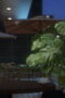 Nonton Reborn as a Cat Season 1 Season 1 Episode 33 Sub Indo Nonton Reborn as a Cat Season 1 Season 1 Episode 33 Sub Indo